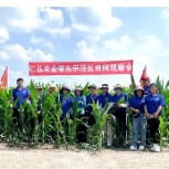 2023年度全线产品姜家示范田各阶段表现