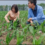 仁弘农业董事长卢总考察与倍丰集团联合示范区