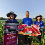 宝丰收-大黑牛产品回访记录