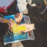 宝丰收-稳定性回访服务